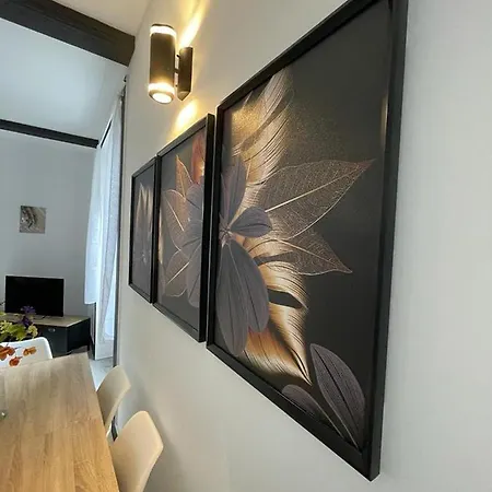 Apartment Les Aiguilles Dorees - Marche Saint Pierre, Victoire, Jaude Clermont-Ferrand